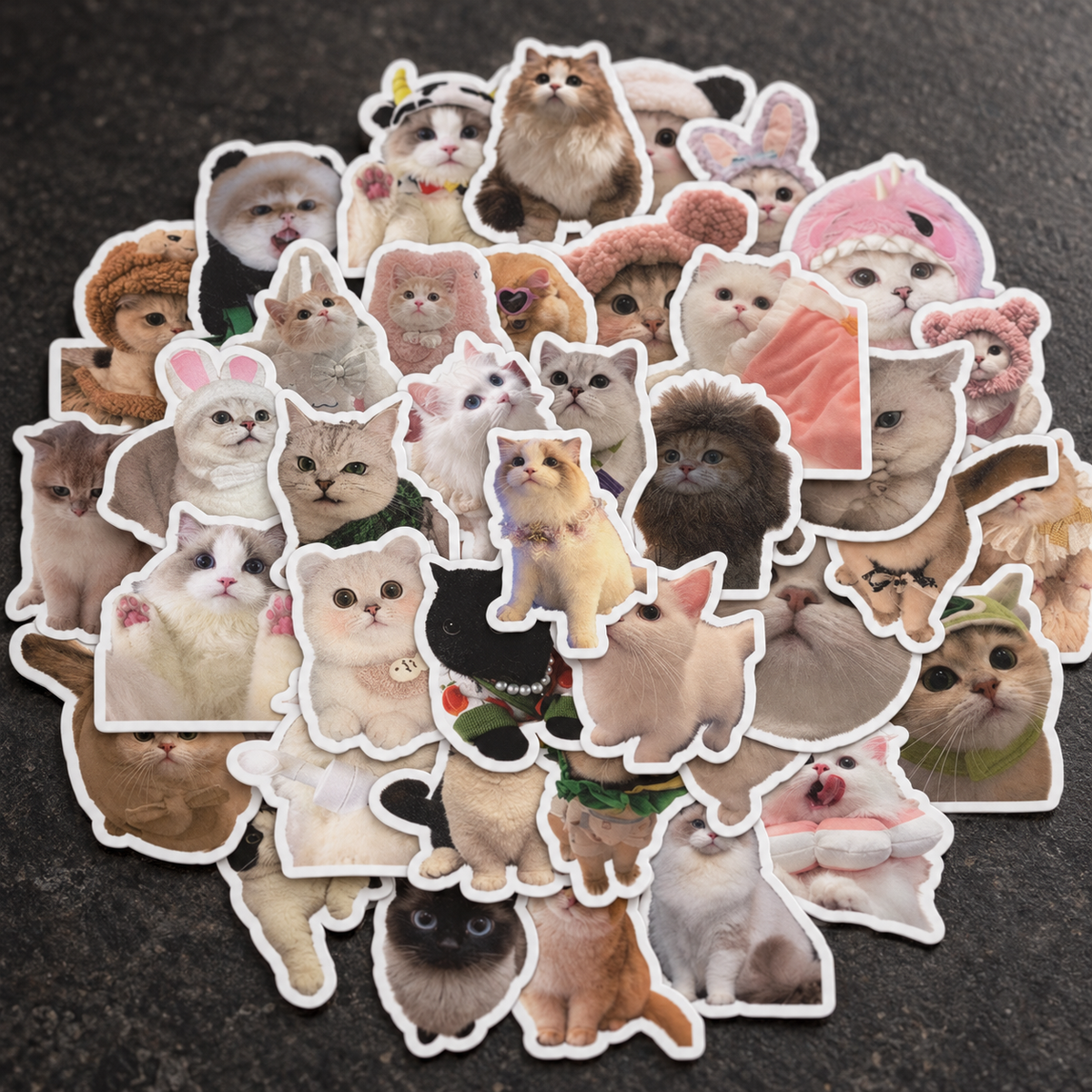 Cute Cat Sticker Pack! - 50pcs