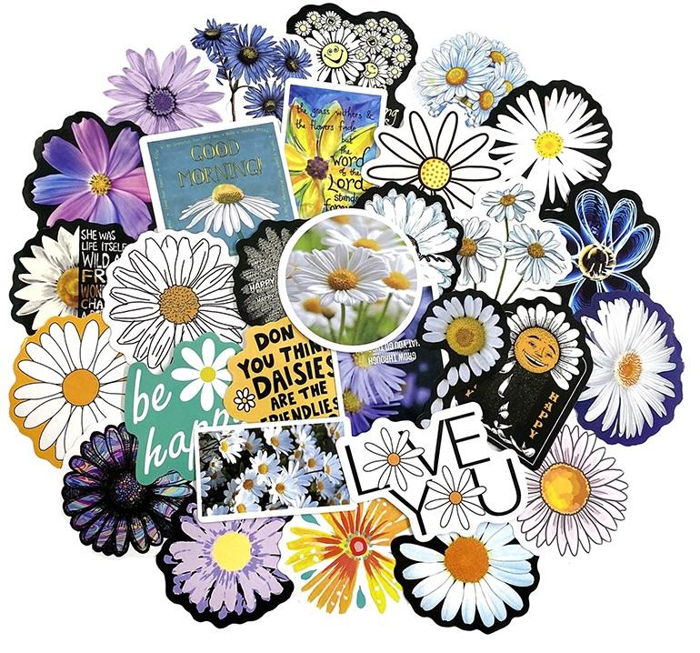 Daisies Pack - 50pcs