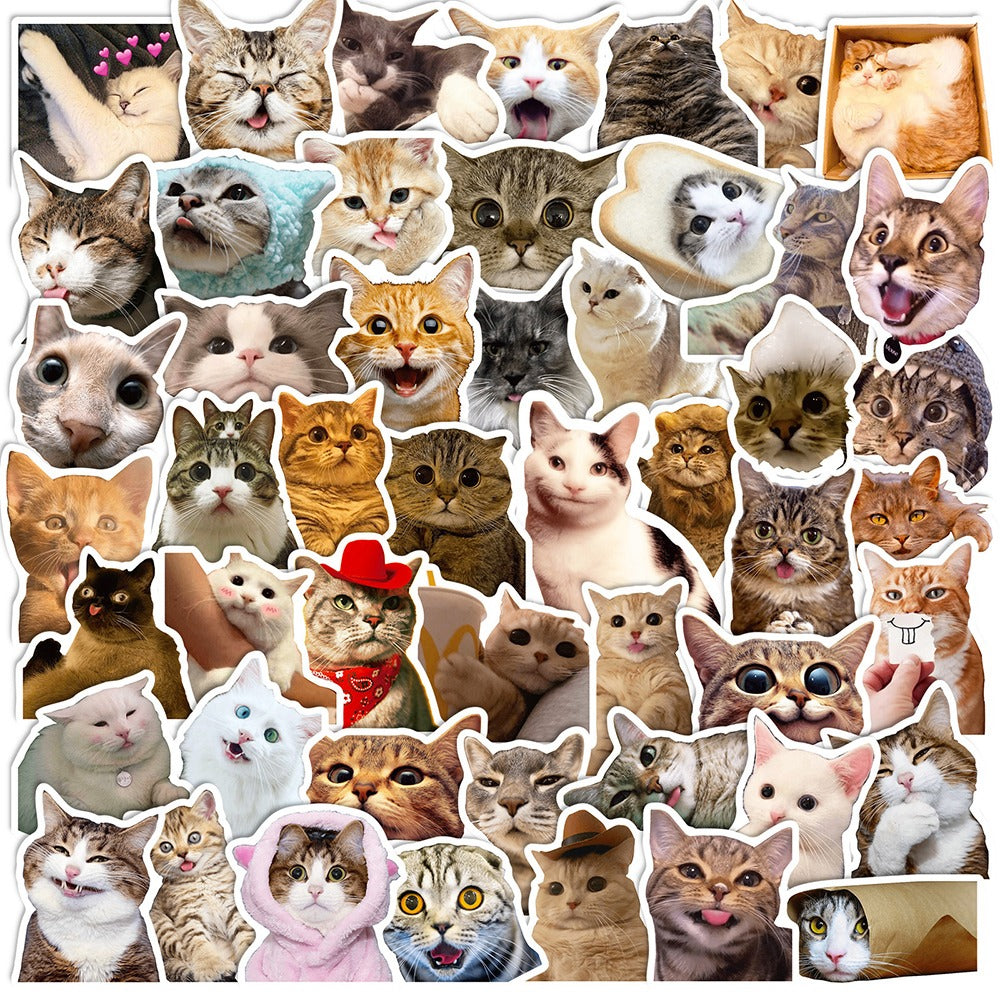 Cats - 50pcs