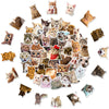 Cats - 50pcs