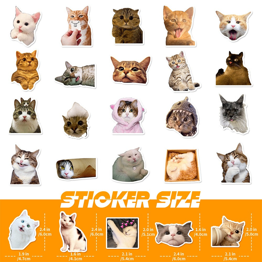 Cats - 50pcs