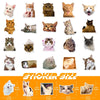 Cats - 50pcs