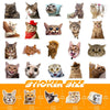 Cats - 50pcs