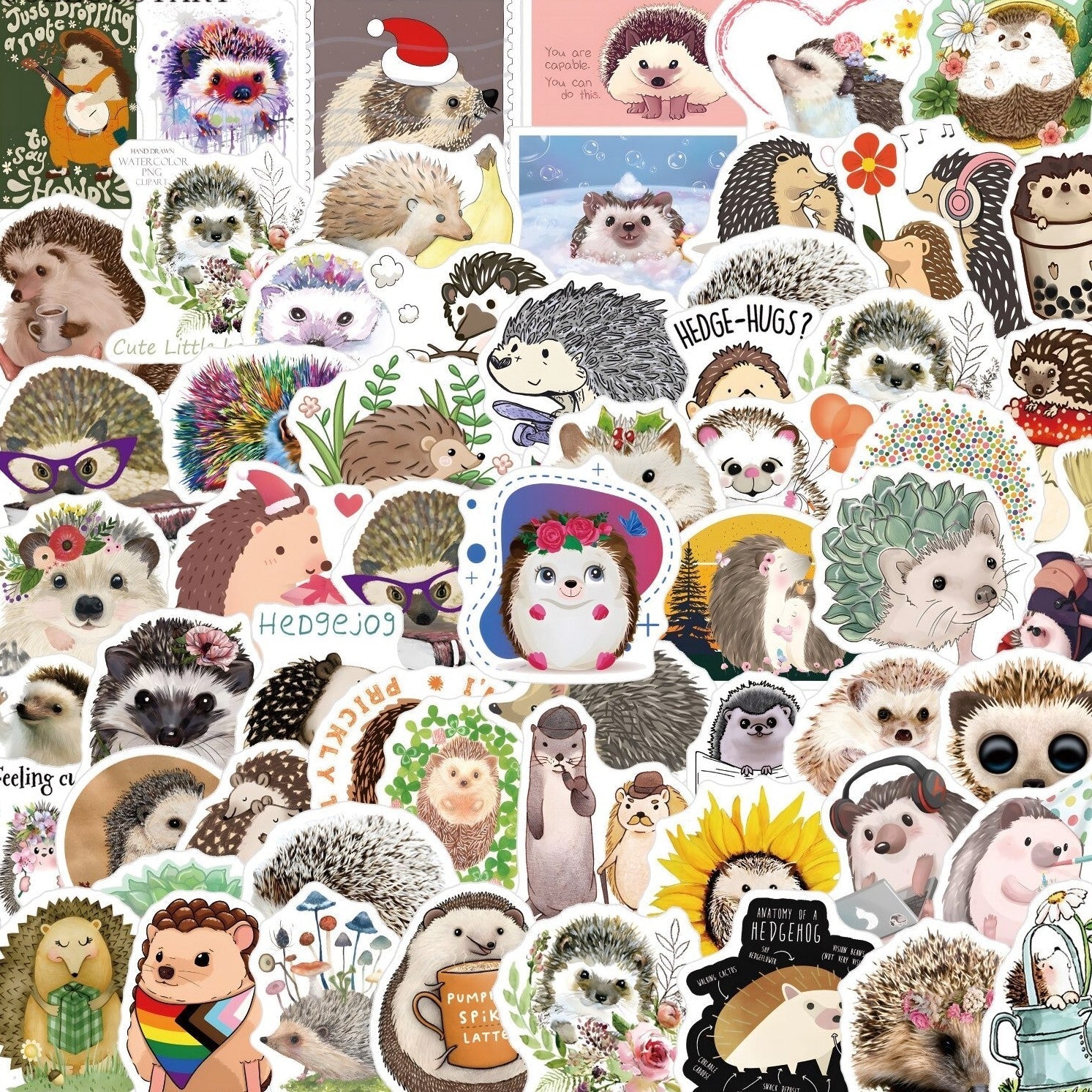 Hedgehog - 50pcs