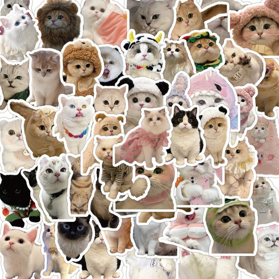 Cute Cat Sticker Pack! - 50pcs