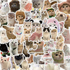 Cute Cats - 50pcs