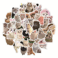 Cute Cat Sticker Pack! - 50pcs