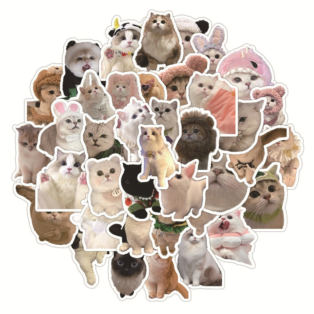Cute Cat Sticker Pack! - 50pcs