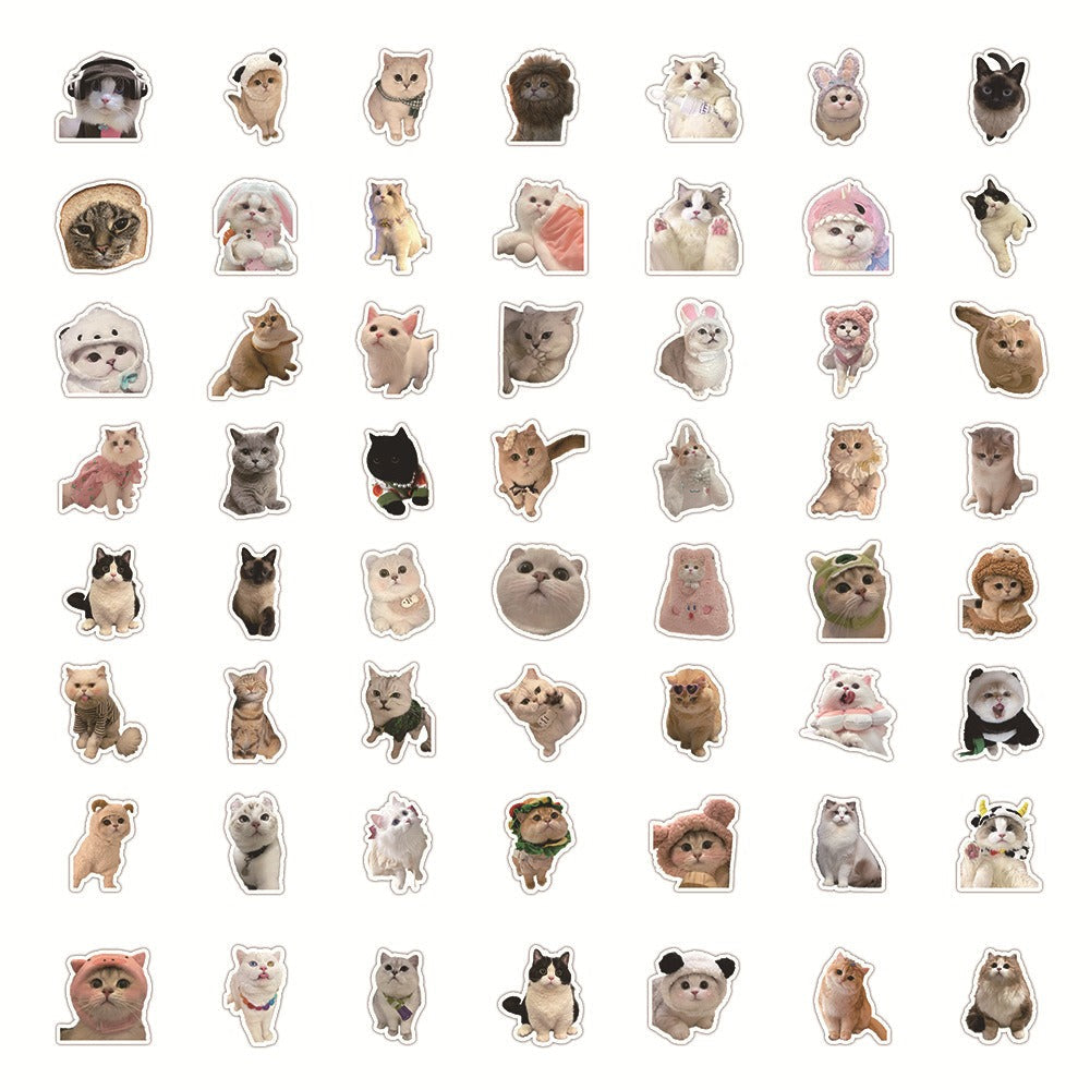 Cute Cat Sticker Pack! - 50pcs