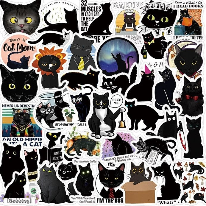 Black Cat - 50pcs