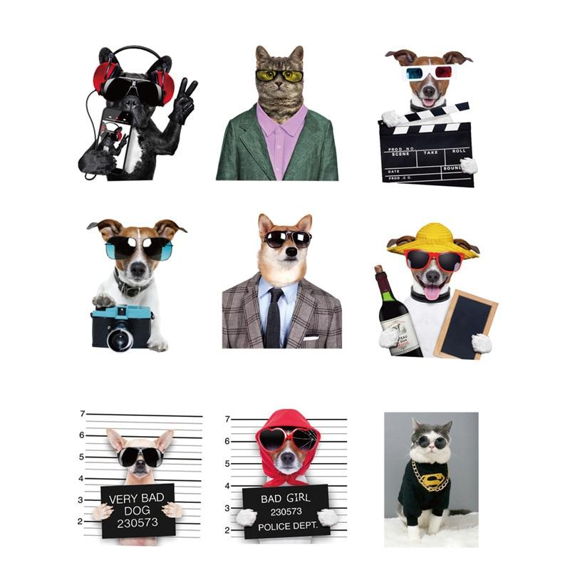 Cool Pets - 38pcs