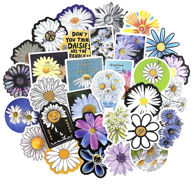 Daisies Pack - 50pcs