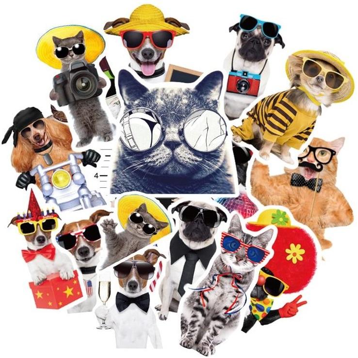 Cool Pets - 38pcs