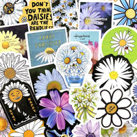 Daisies Pack - 50pcs