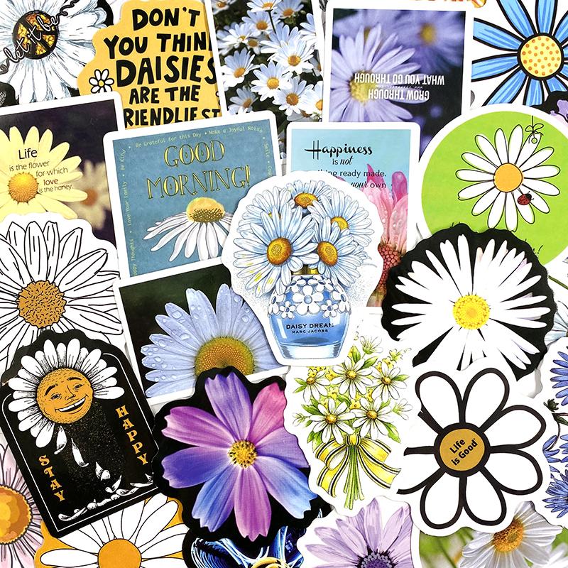 Daisies Pack - 50pcs