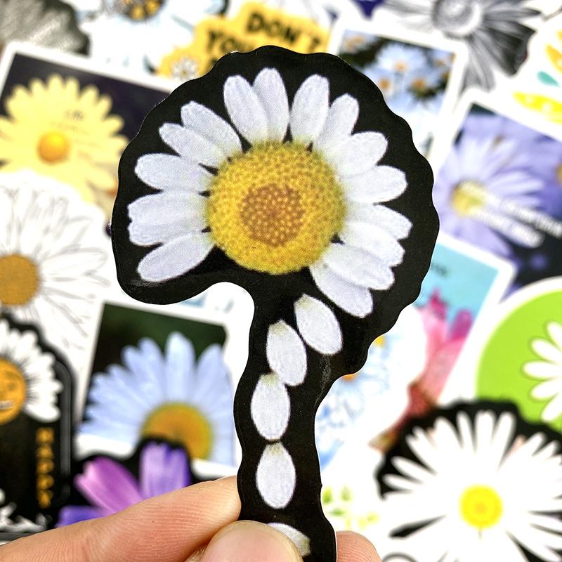 Daisies - 50pcs