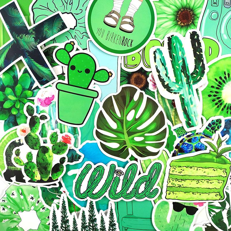 Green Pack - 50pcs