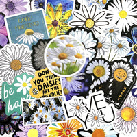 Daisies Pack - 50pcs