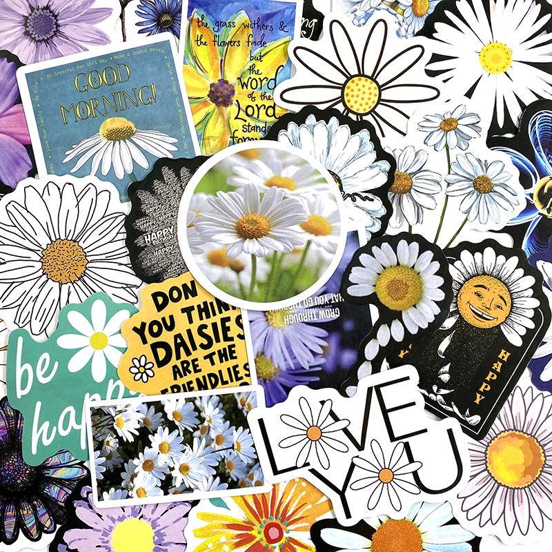 Daisies Pack - 50pcs