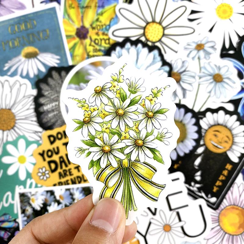 Daisies Pack - 50pcs