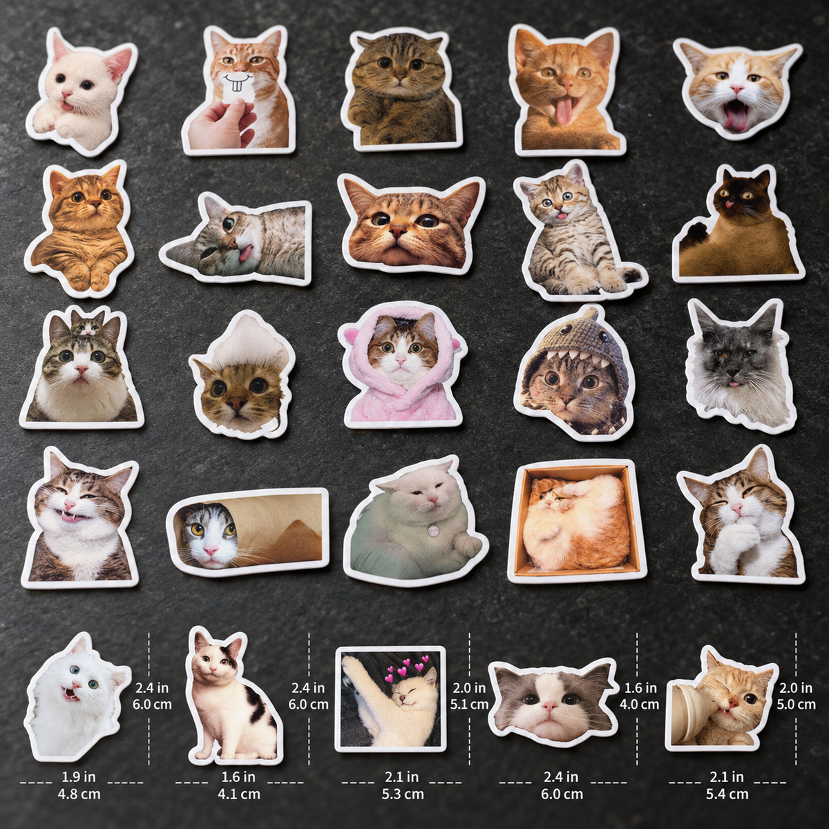 Cats - 50pcs