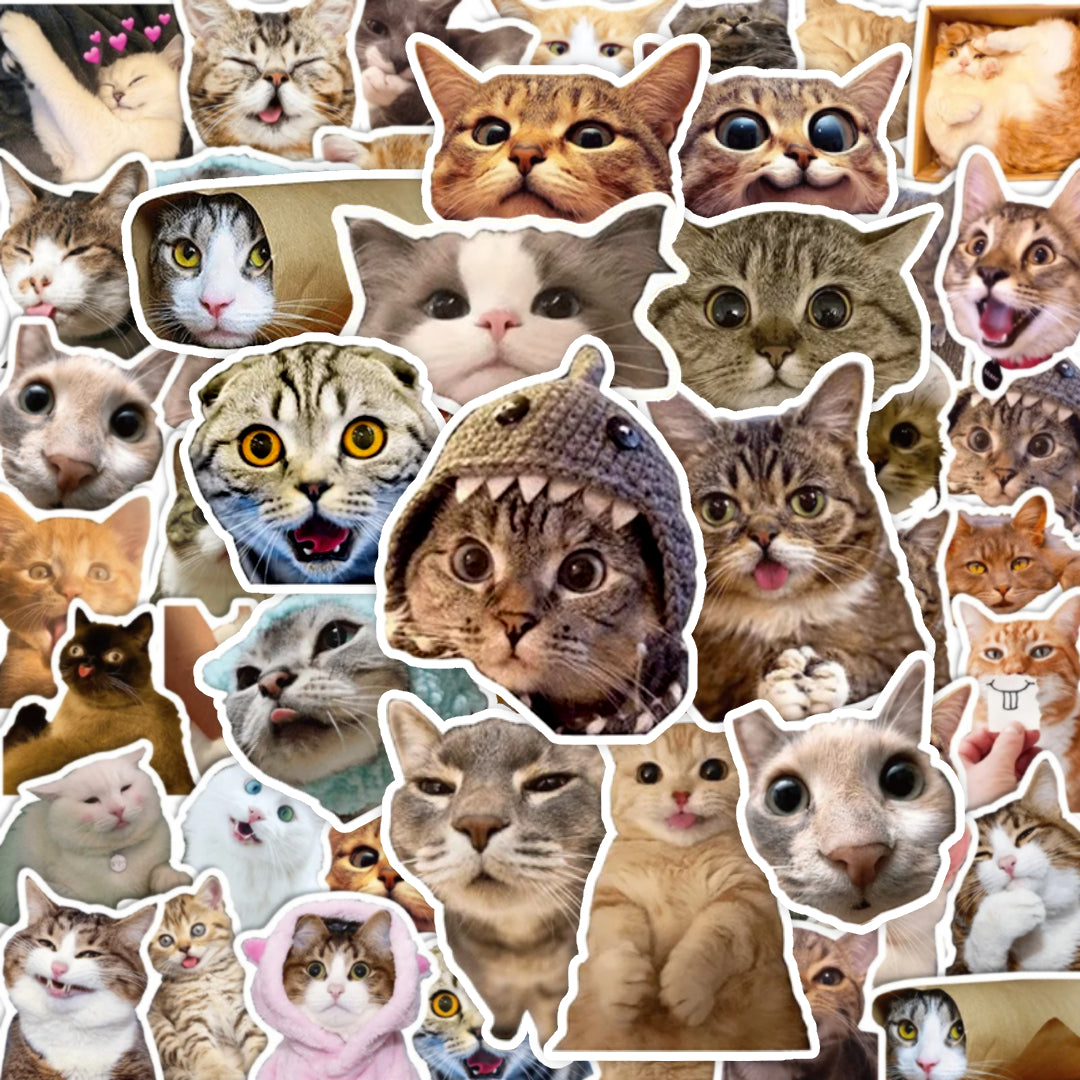 Cats - 50pcs