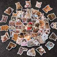 Cats - 50pcs
