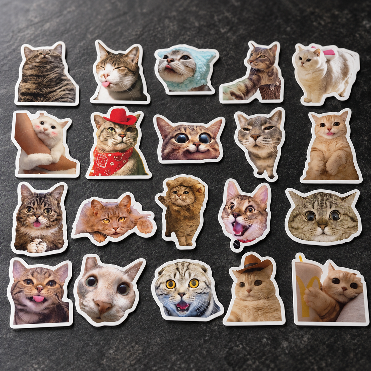 Cats - 50pcs