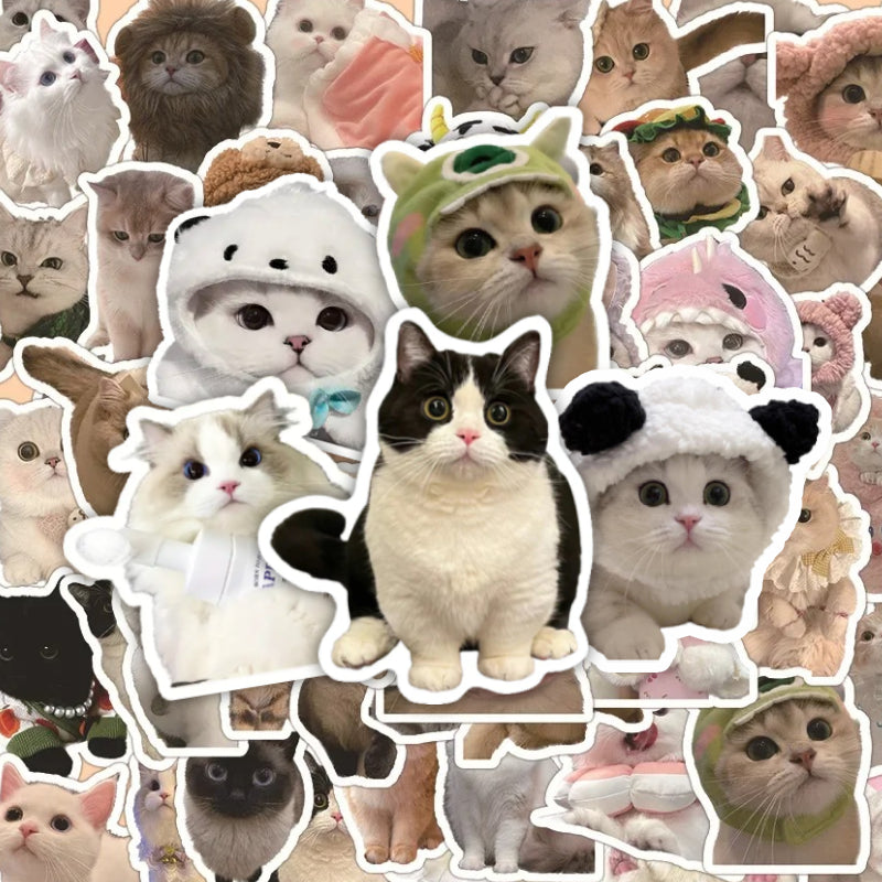 Cute Cat Sticker Pack! - 50pcs