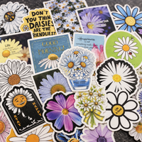Daisies Pack - 50pcs