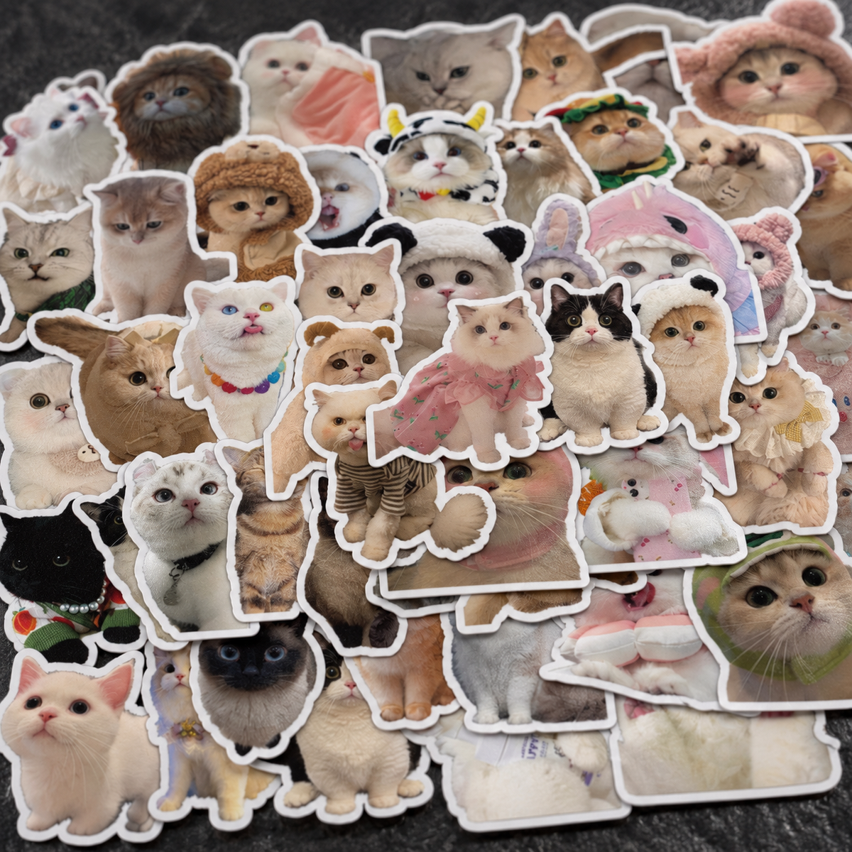 Cute Cat Sticker Pack! - 50pcs