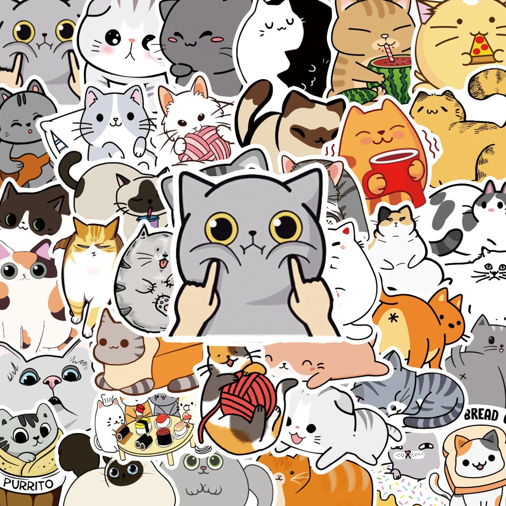 Toony Cats - 50pcs