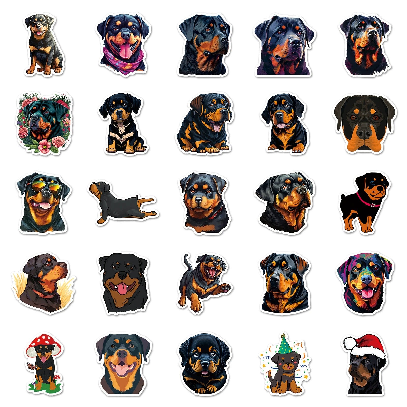 Rottweiler - 50pcs