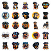 Rottweiler - 50pcs